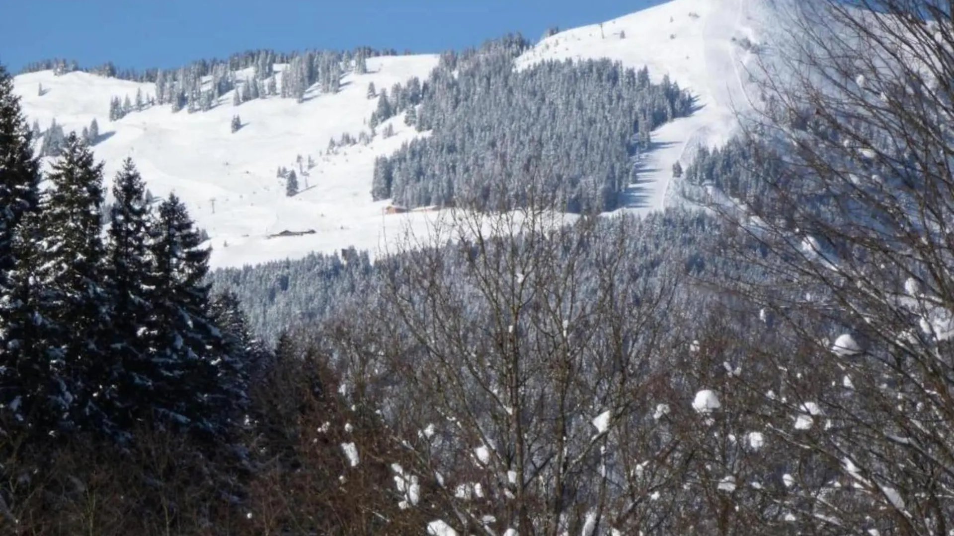 Modern Chalet with Sauna near Ski Area in Salzburg Saalbach-Hinterglemm